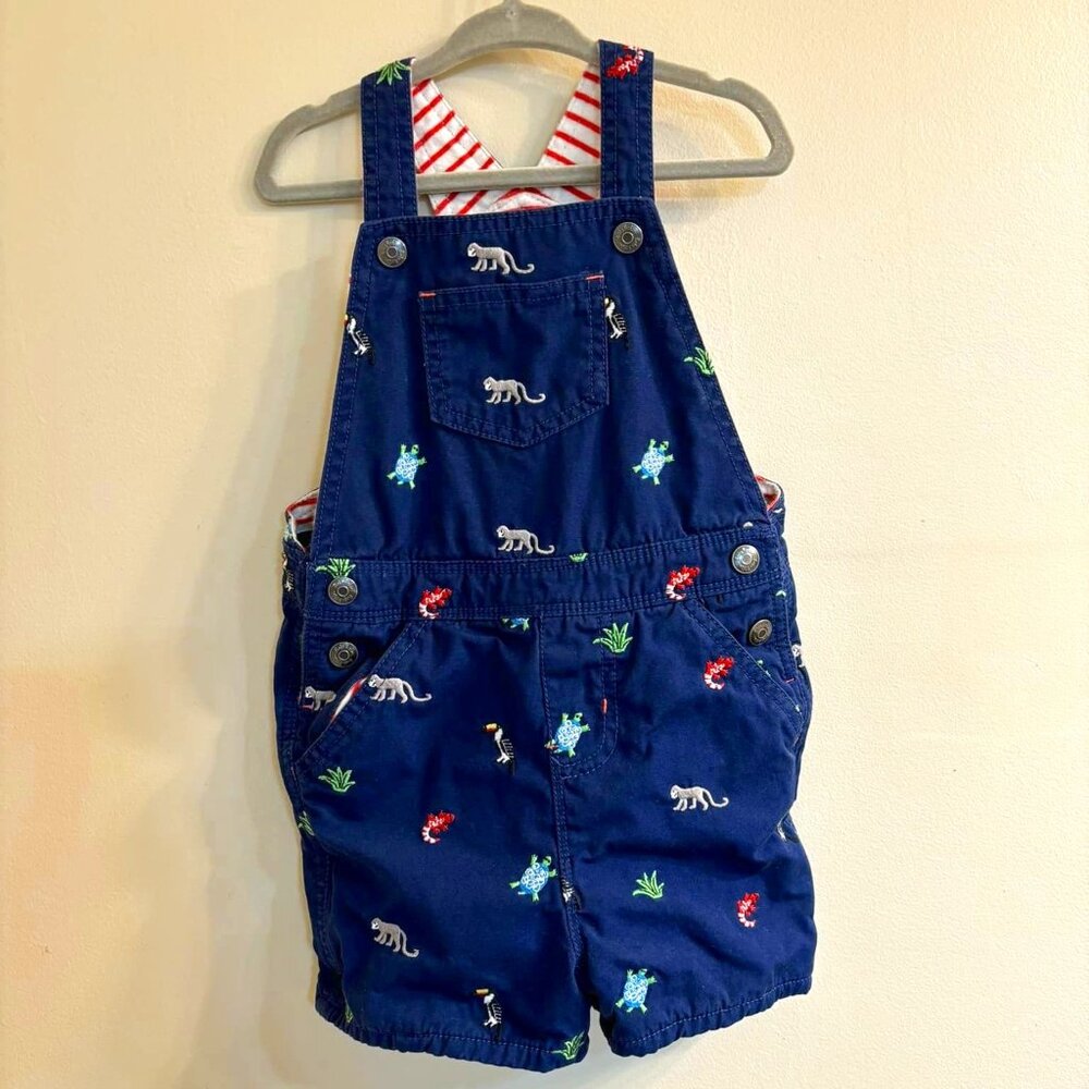 Super cute overalls size 2-3 years old